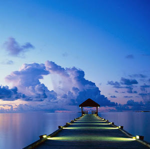 Meet your Posher, Luis